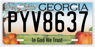 GA license plate PYV8637