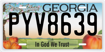 GA license plate PYV8639