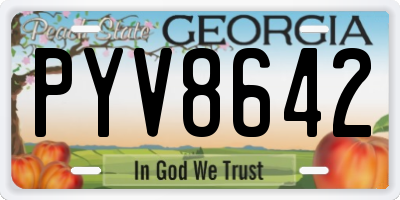 GA license plate PYV8642
