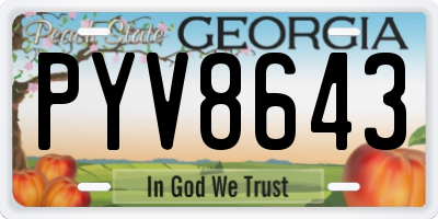 GA license plate PYV8643