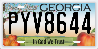 GA license plate PYV8644