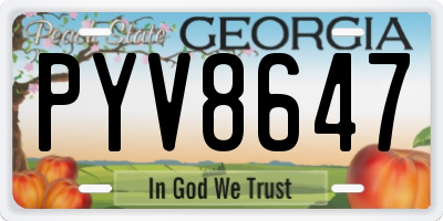 GA license plate PYV8647
