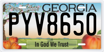 GA license plate PYV8650