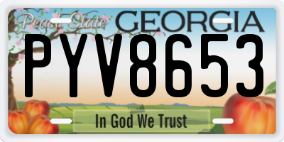 GA license plate PYV8653