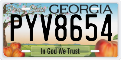 GA license plate PYV8654