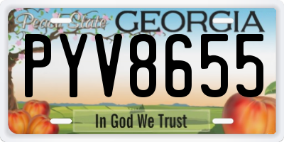 GA license plate PYV8655