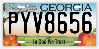 GA license plate PYV8656