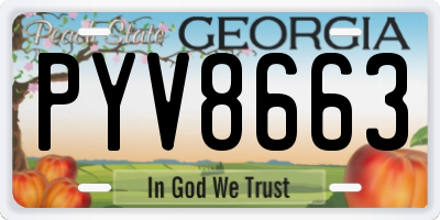 GA license plate PYV8663