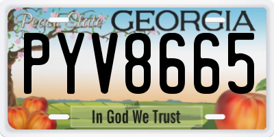 GA license plate PYV8665