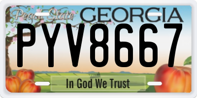 GA license plate PYV8667