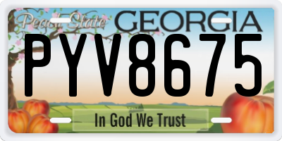 GA license plate PYV8675