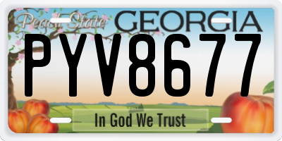 GA license plate PYV8677