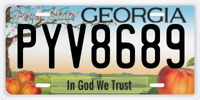 GA license plate PYV8689