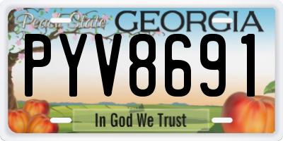 GA license plate PYV8691
