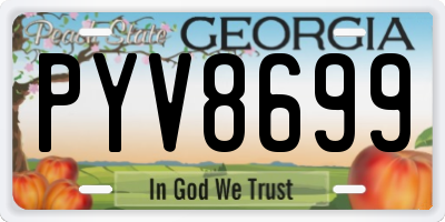 GA license plate PYV8699