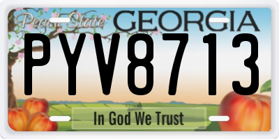 GA license plate PYV8713