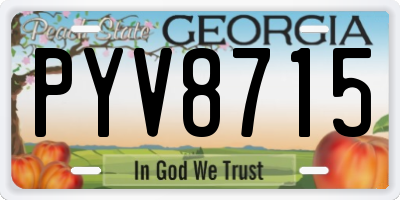 GA license plate PYV8715