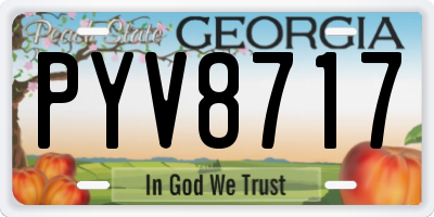 GA license plate PYV8717