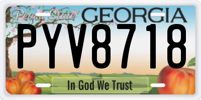 GA license plate PYV8718
