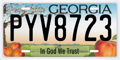 GA license plate PYV8723