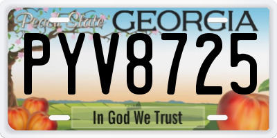 GA license plate PYV8725