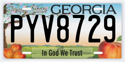 GA license plate PYV8729