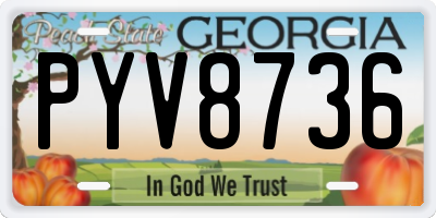 GA license plate PYV8736