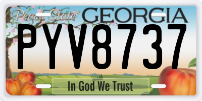 GA license plate PYV8737