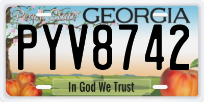 GA license plate PYV8742