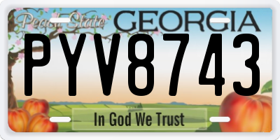 GA license plate PYV8743