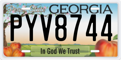 GA license plate PYV8744