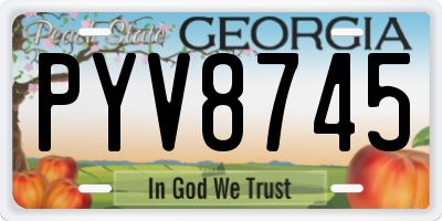GA license plate PYV8745