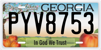 GA license plate PYV8753