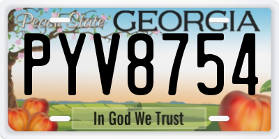 GA license plate PYV8754