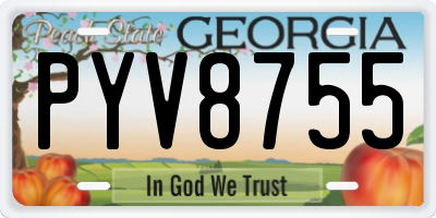 GA license plate PYV8755
