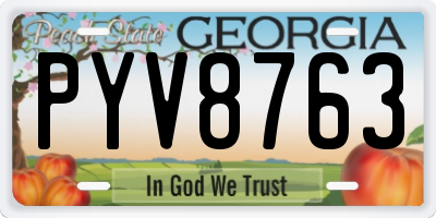 GA license plate PYV8763
