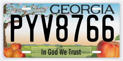 GA license plate PYV8766