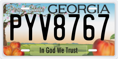 GA license plate PYV8767