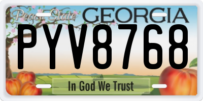 GA license plate PYV8768
