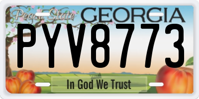 GA license plate PYV8773