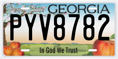 GA license plate PYV8782