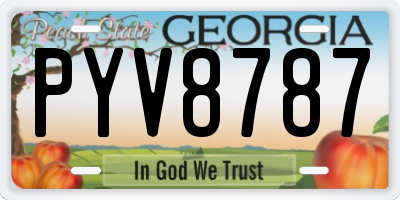 GA license plate PYV8787