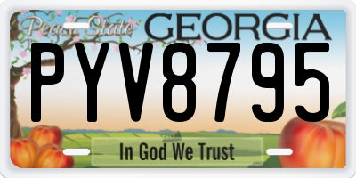 GA license plate PYV8795