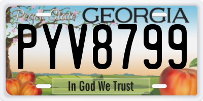 GA license plate PYV8799