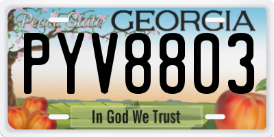 GA license plate PYV8803