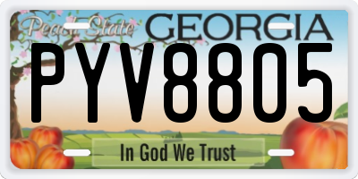 GA license plate PYV8805