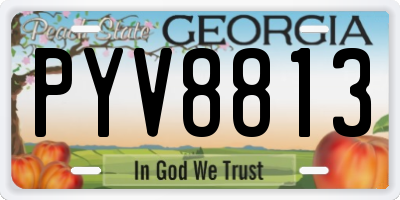 GA license plate PYV8813
