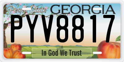 GA license plate PYV8817
