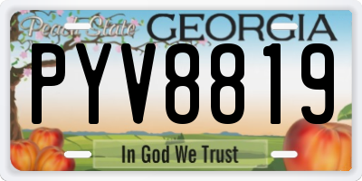 GA license plate PYV8819