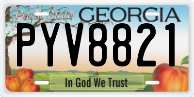 GA license plate PYV8821